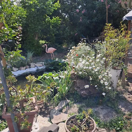 Susy E Max 3* Volano (Ferrara)