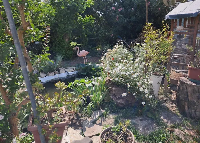 Susy E Max 3* Volano (Ferrara)